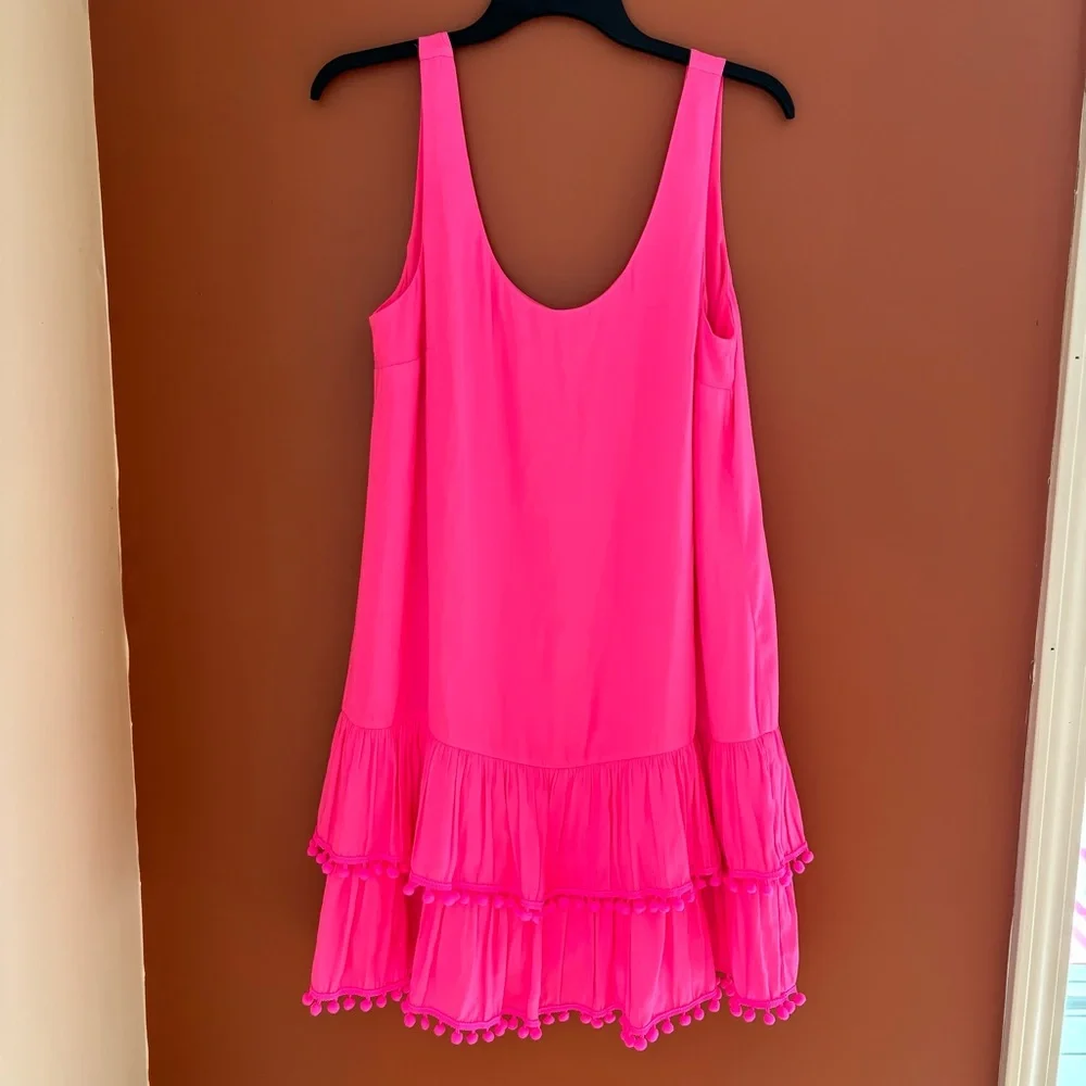Lilly Pulitzer Natashia Pom Pom Pink Dress - Picture 3 of 7